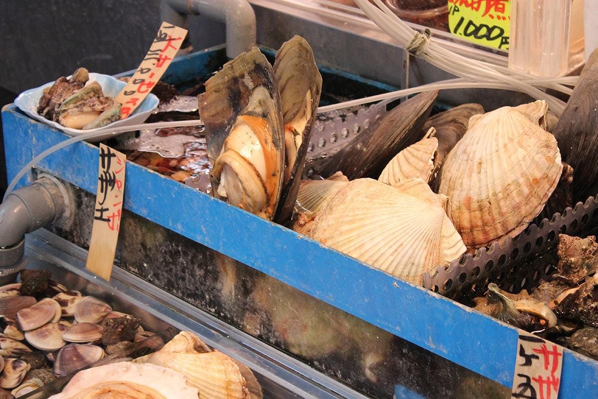 12017625_10205067417827298_4547561771681976212_o