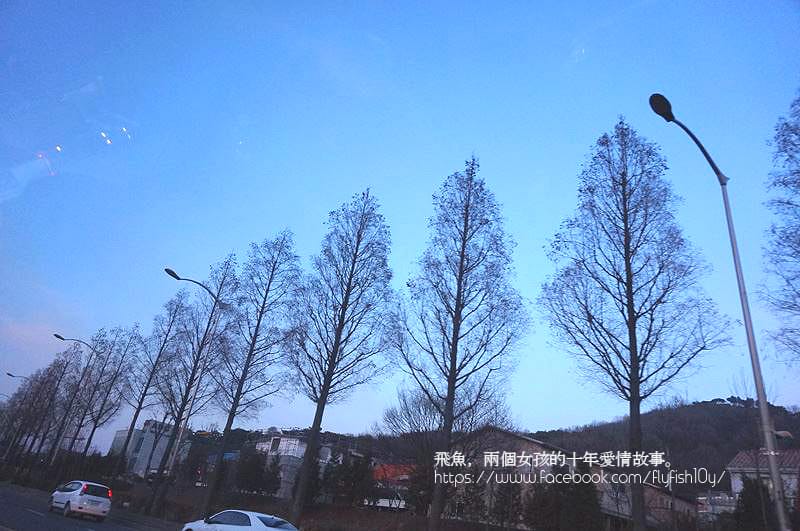 東大門住宿,天空之晨公寓式酒店,morningskyhotel,陳玉華奶奶一隻雞,陳玉華一隻雞2025,陳玉華一隻雞,東大門美食,東大門美食推薦,東大門住宿推薦,明洞一隻雞東大門,陳玉華孔陵,陳玉華一隻雞醬料,東大門美食2025,東大門歷史文化公園站美食,東大門逛街地圖,早晨天空飯店,MorningSkyResidenceHotel,陳玉華奶奶元祖一隻雞,東大門元祖一隻雞分享,新設洞站