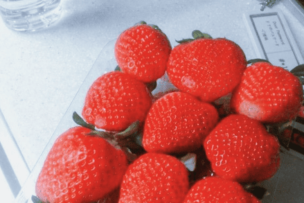 首爾自由行行程,韓國行程,韓國自由行,首爾自由行,韓國自助旅行,首爾下雪,首爾5天4夜行程,首爾南怡島