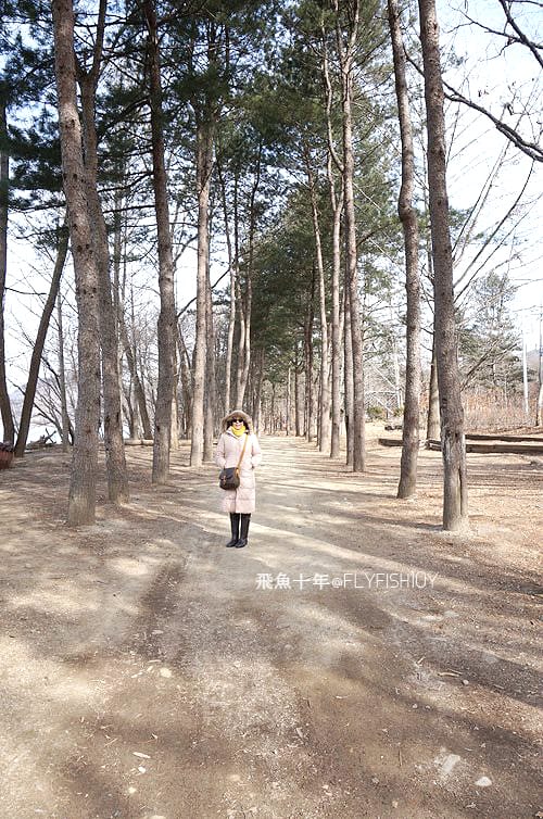 南怡島直達巴士,首爾到南怡島多久,itx青春號時刻表,冬季戀歌南怡島,南怡島自由行,南怡島一日遊,南怡島交通,南怡島一日遊dcard,來自星星的你拍攝地點,小法國村值得去嗎,小法國村的圖片,小法國村韓國,小法國村交通,小法國村門票,元堂脊骨土豆湯,元堂馬鈴薯排骨湯,南怡島怎麼去,元堂馬鈴薯排骨湯分店,元堂馬鈴薯排骨湯明洞2號店,小法國村dcard