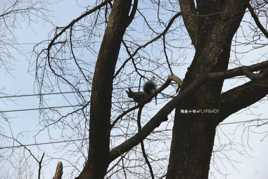 南怡島直達巴士,首爾到南怡島多久,itx青春號時刻表,冬季戀歌南怡島,南怡島自由行,南怡島一日遊,南怡島交通,南怡島一日遊dcard,來自星星的你拍攝地點,小法國村值得去嗎,小法國村的圖片,小法國村韓國,小法國村交通,小法國村門票,元堂脊骨土豆湯,元堂馬鈴薯排骨湯,南怡島怎麼去,元堂馬鈴薯排骨湯分店,元堂馬鈴薯排骨湯明洞2號店,小法國村dcard