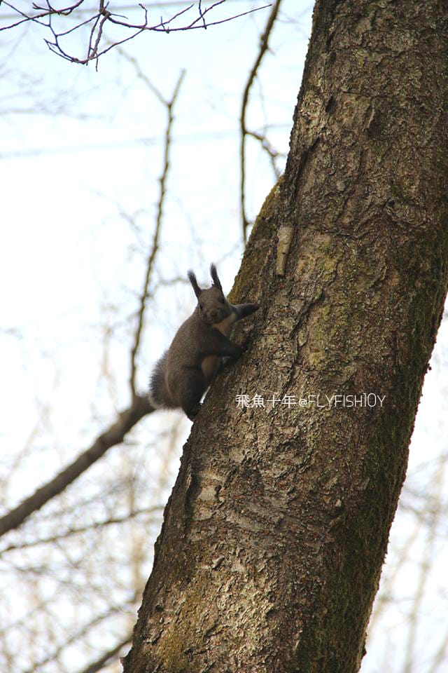 南怡島直達巴士,首爾到南怡島多久,itx青春號時刻表,冬季戀歌南怡島,南怡島自由行,南怡島一日遊,南怡島交通,南怡島一日遊dcard,來自星星的你拍攝地點,小法國村值得去嗎,小法國村的圖片,小法國村韓國,小法國村交通,小法國村門票,元堂脊骨土豆湯,元堂馬鈴薯排骨湯,南怡島怎麼去,元堂馬鈴薯排骨湯分店,元堂馬鈴薯排骨湯明洞2號店,小法國村dcard