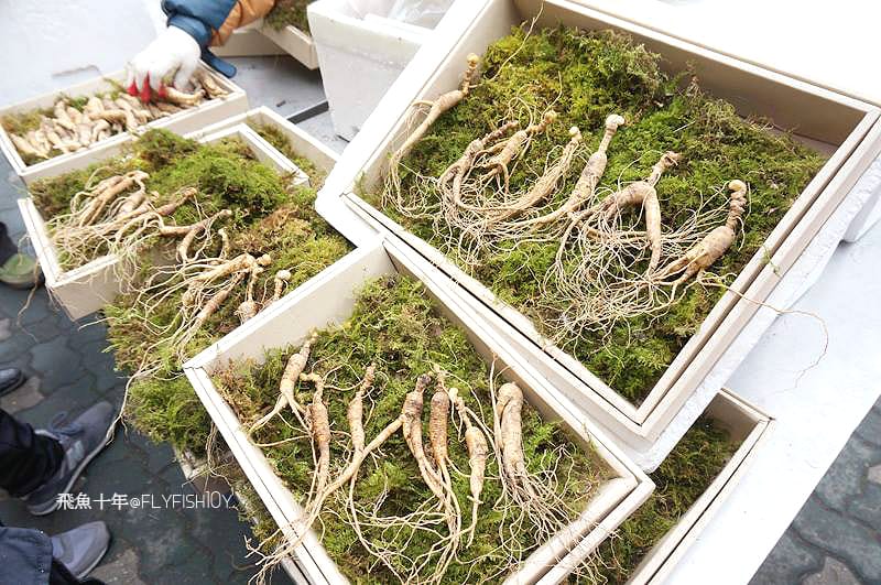 首爾景點,東關王廟,首爾東廟,東廟市場,東廟跳蚤市場,東廟二手市場,首爾跳蚤市場,昌信洞玩具街,首爾玩具街,首爾自由行5天4夜,風物跳蚤市場,東廟 韓國,東廟景點,東廟市場營業時間,東廟市場韓文,東廟逛街,東廟gd,風物市場,首爾風物市場,新設洞景點