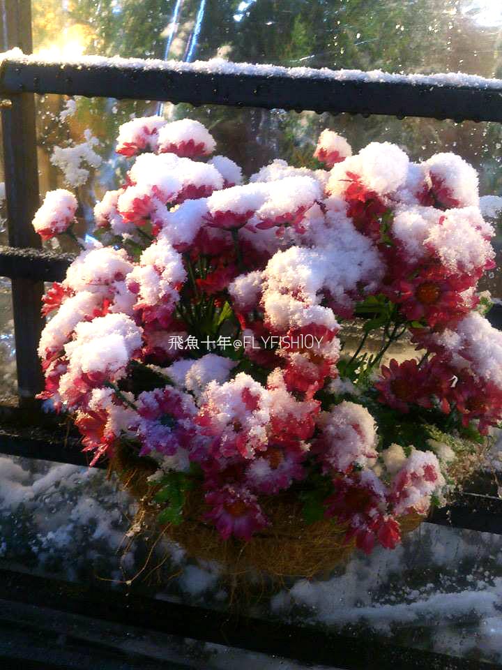 首爾景點,東關王廟,首爾東廟,東廟市場,東廟跳蚤市場,東廟二手市場,首爾跳蚤市場,昌信洞玩具街,首爾玩具街,首爾自由行5天4夜,風物跳蚤市場,東廟 韓國,東廟景點,東廟市場營業時間,東廟市場韓文,東廟逛街,東廟gd,風物市場,首爾風物市場,新設洞景點