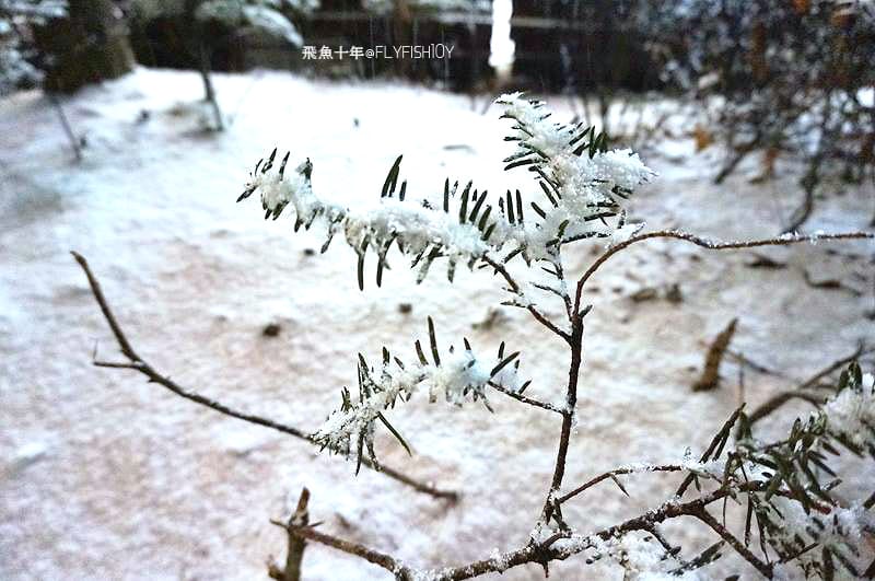 首爾景點,東關王廟,首爾東廟,東廟市場,東廟跳蚤市場,東廟二手市場,首爾跳蚤市場,昌信洞玩具街,首爾玩具街,首爾自由行5天4夜,風物跳蚤市場,東廟 韓國,東廟景點,東廟市場營業時間,東廟市場韓文,東廟逛街,東廟gd,風物市場,首爾風物市場,新設洞景點