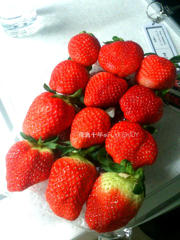 韓國首爾。風物跳蚤市場、韓國街頭的關帝廟:東關王廟(동관왕묘