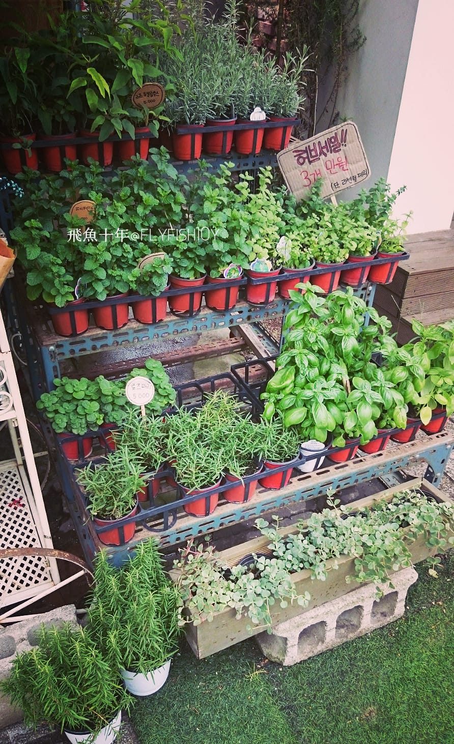 韓國首爾。北村散步路線：安國站北村韓屋村＆北村八景路線、三清