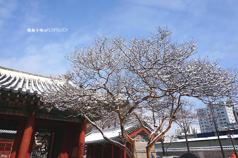 韓國首爾。本粥明洞店(본죽)、首爾風物跳蚤市場、東大門昌信洞