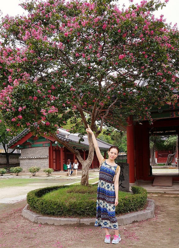 韓國首爾。本粥明洞店(본죽)、首爾風物跳蚤市場、東大門昌信洞