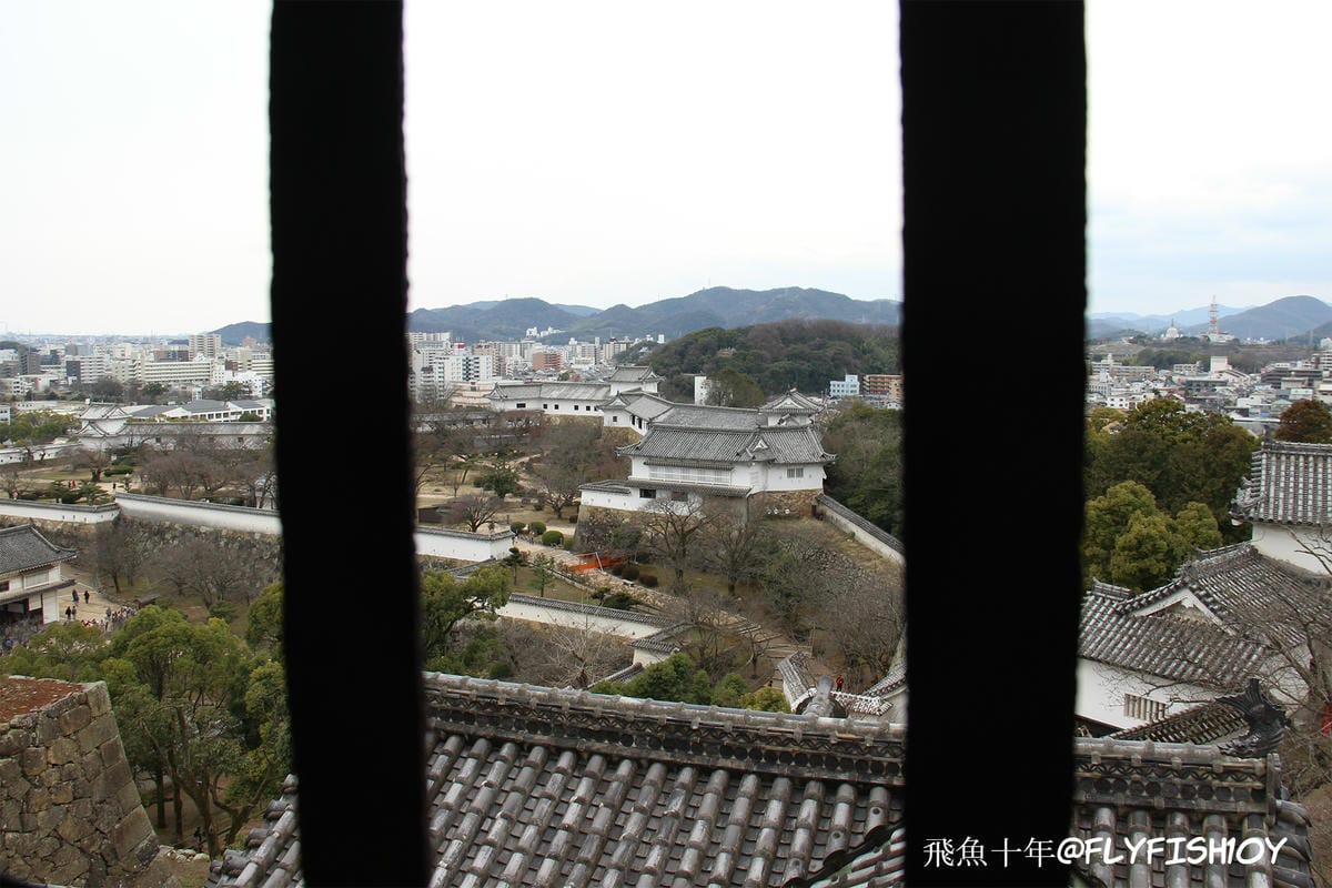 26252062432_010028c10c_o (1).jpg 26252062432_010028c10c_o (1).jpg