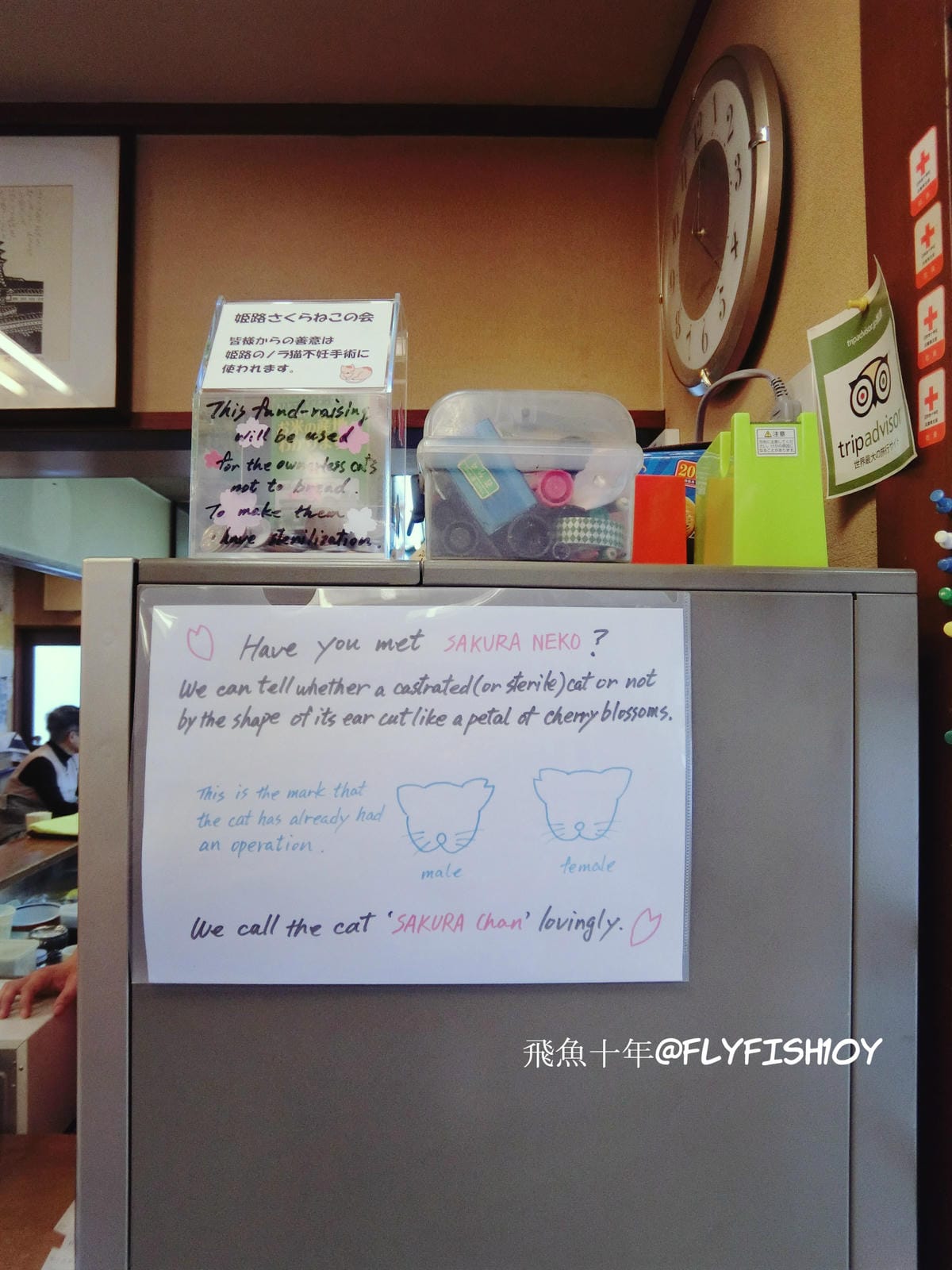 25578276091_90acc314f2_o (1).jpg 25578276091_90acc314f2_o (1).jpg