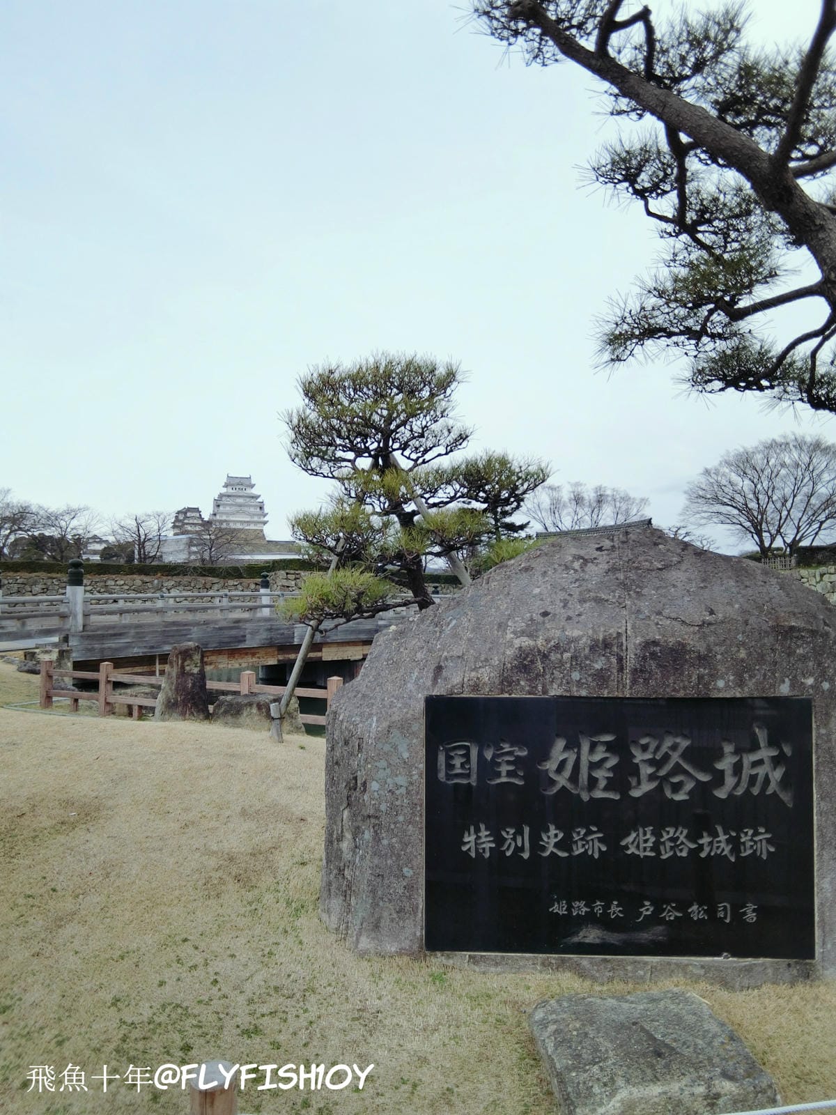 25044738133_d1c73a516f_o (1) 25044738133_d1c73a516f_o (1)