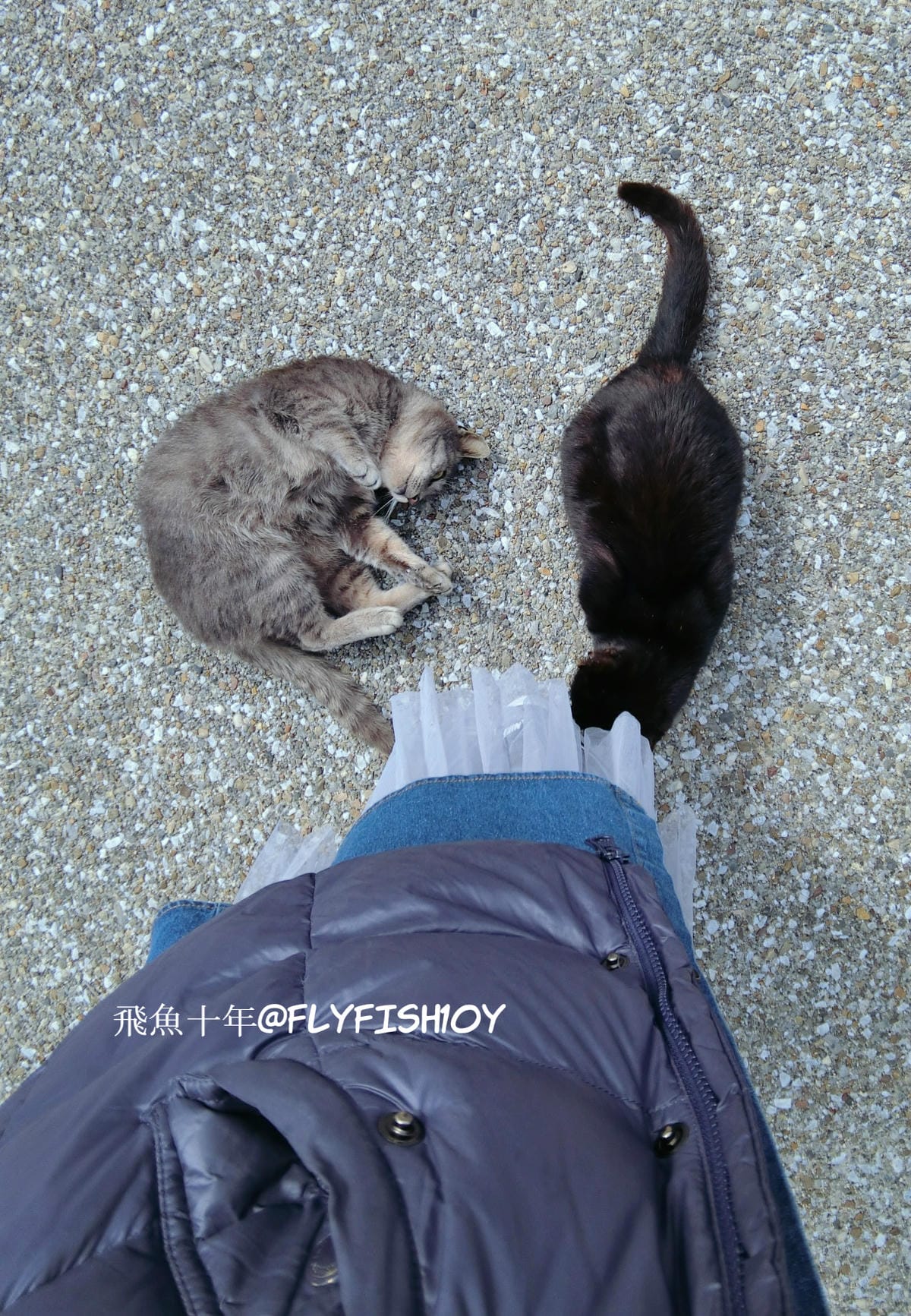 25040956204_836696e9ec_o (1).jpg 25040956204_836696e9ec_o (1).jpg