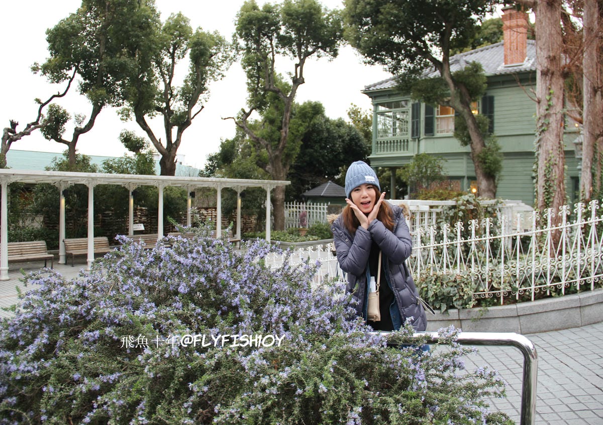 25744872783_8839962375_o (1).jpg