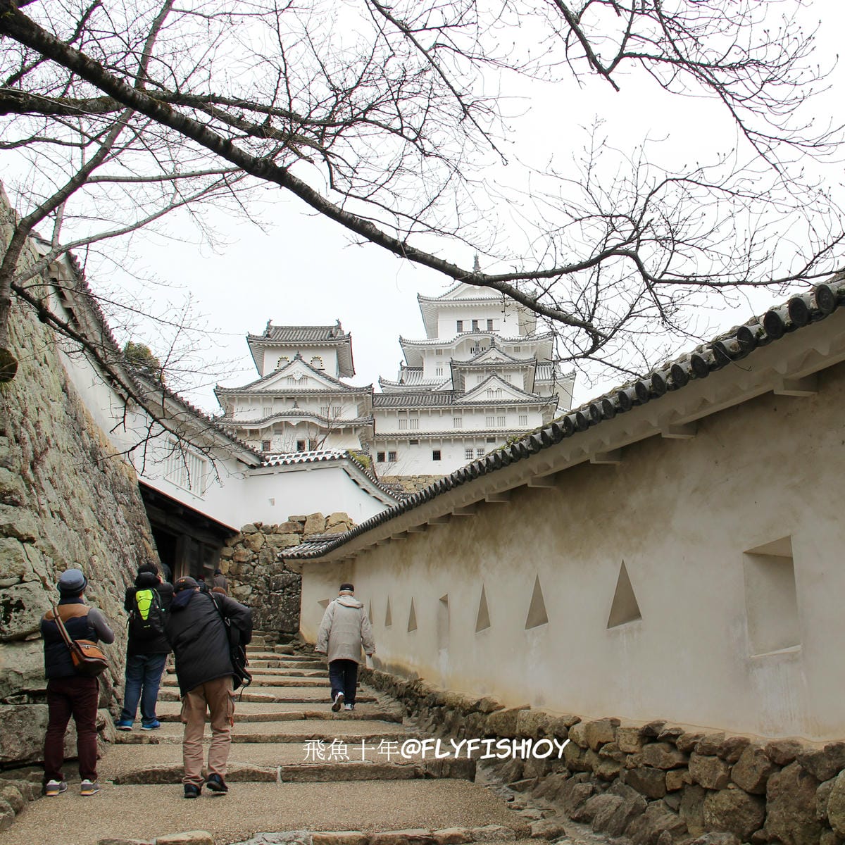 26251996732_fef1f07f79_o (1).jpg 26251996732_fef1f07f79_o (1).jpg