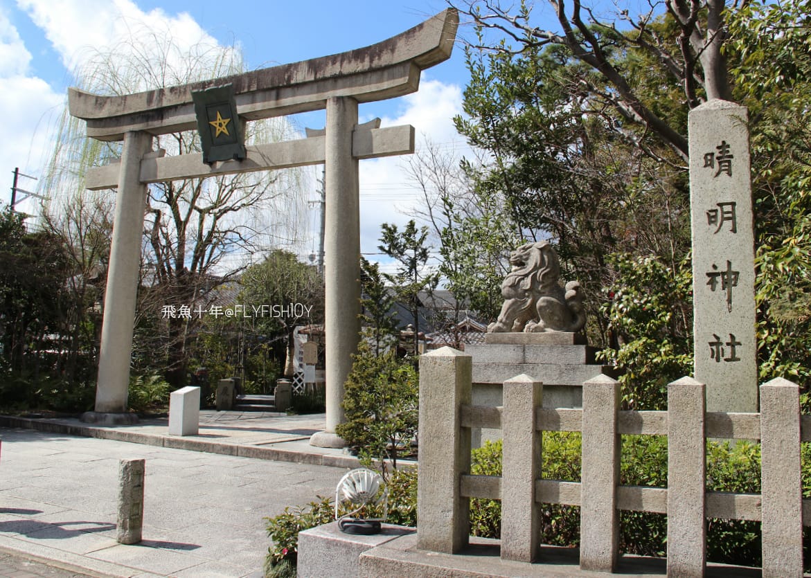 26474956455_577dc50b27_o (1).jpg