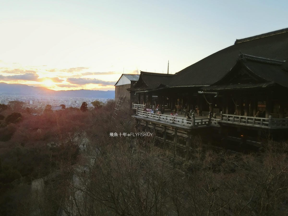 25400946950_768e7be002_o (1).jpg