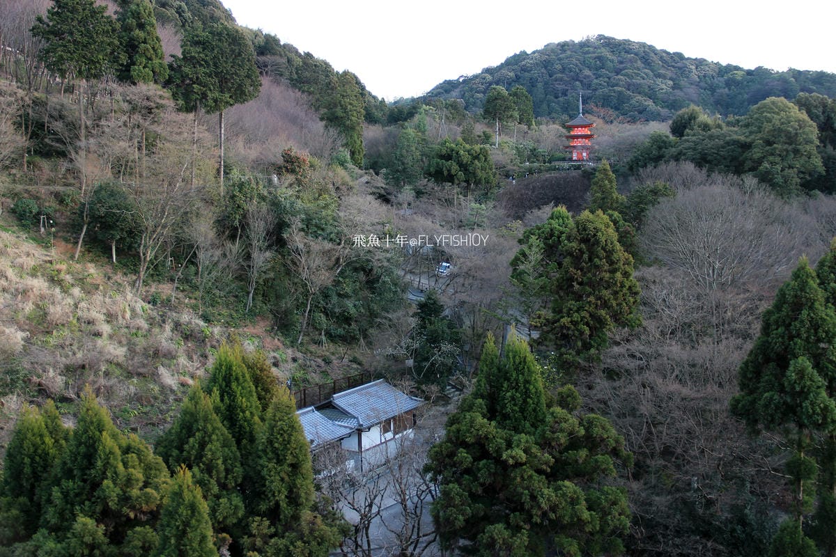 26411105491_512c010a4c_o (1).jpg