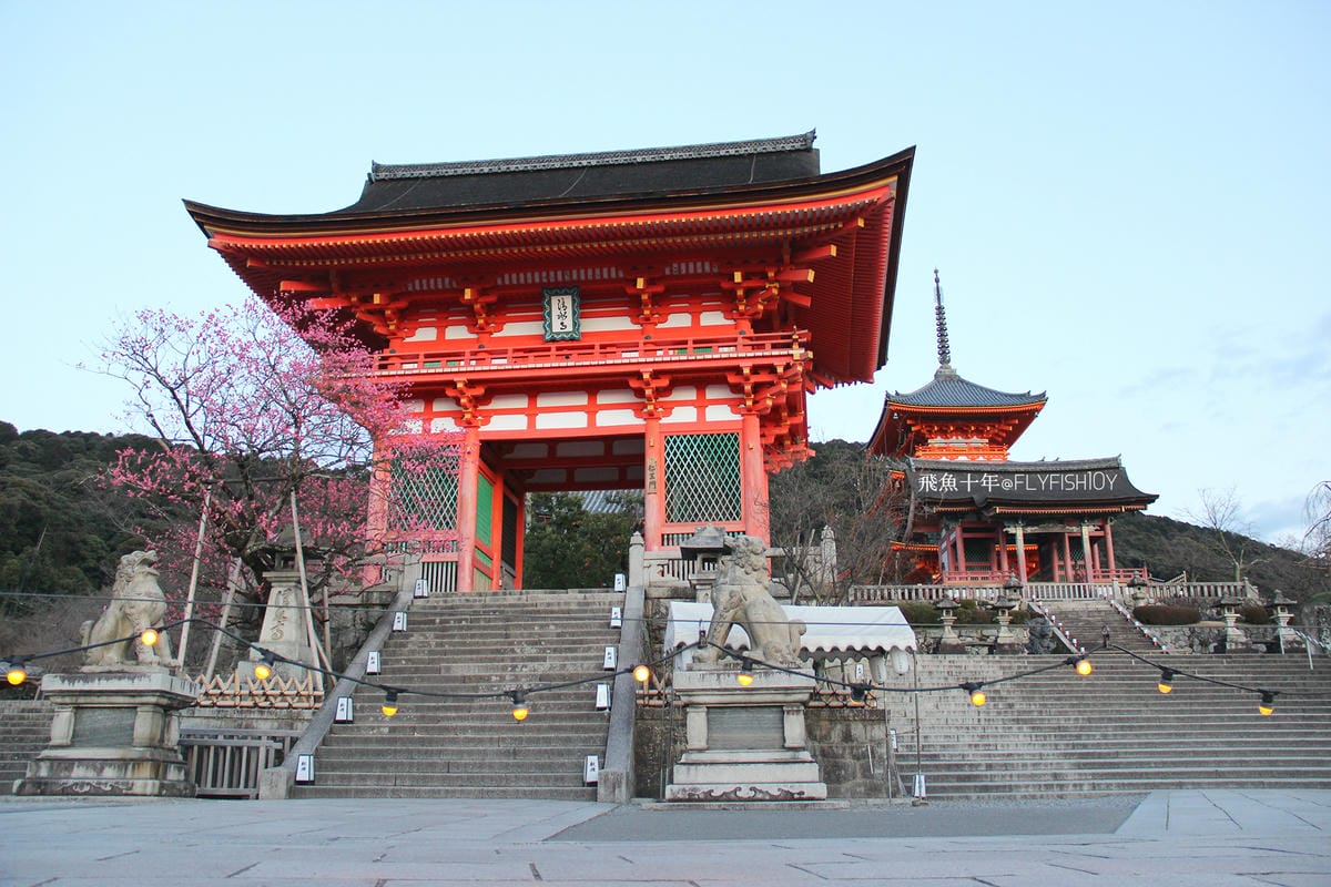 26386176612_27378e80f1_o (2).jpg