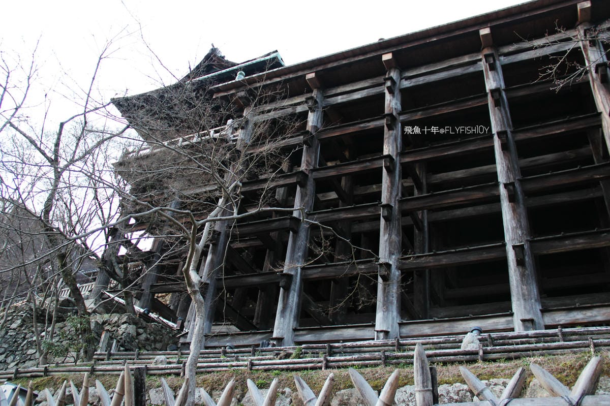 25875700513_fa3cae3788_o (1).jpg