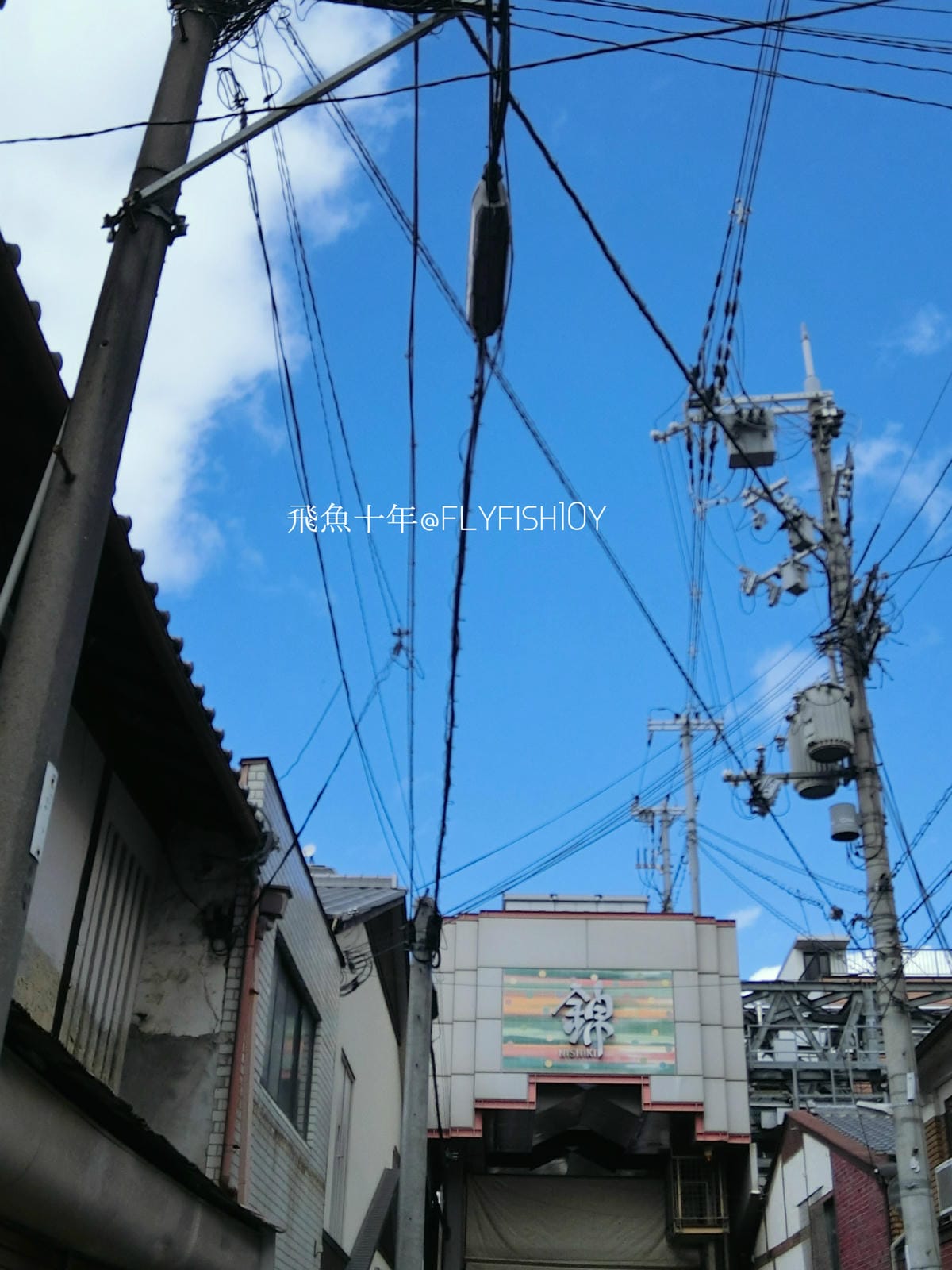 25608200331_2eab653b12_o (1).jpg