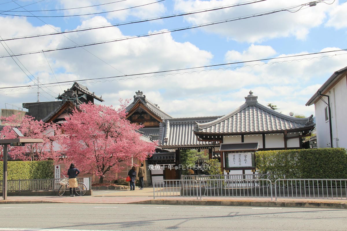 26202122100_3e205a9133_o (1).jpg