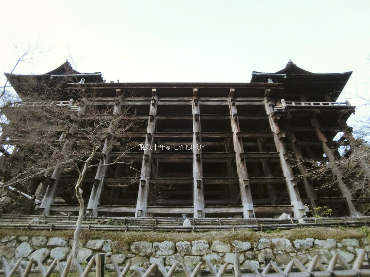 25609075521_cb0ea3cab1_o (1).jpg