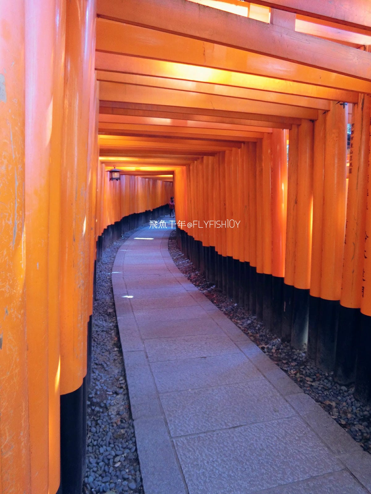 25122378473_1cc9ca2cf4_o (1).jpg