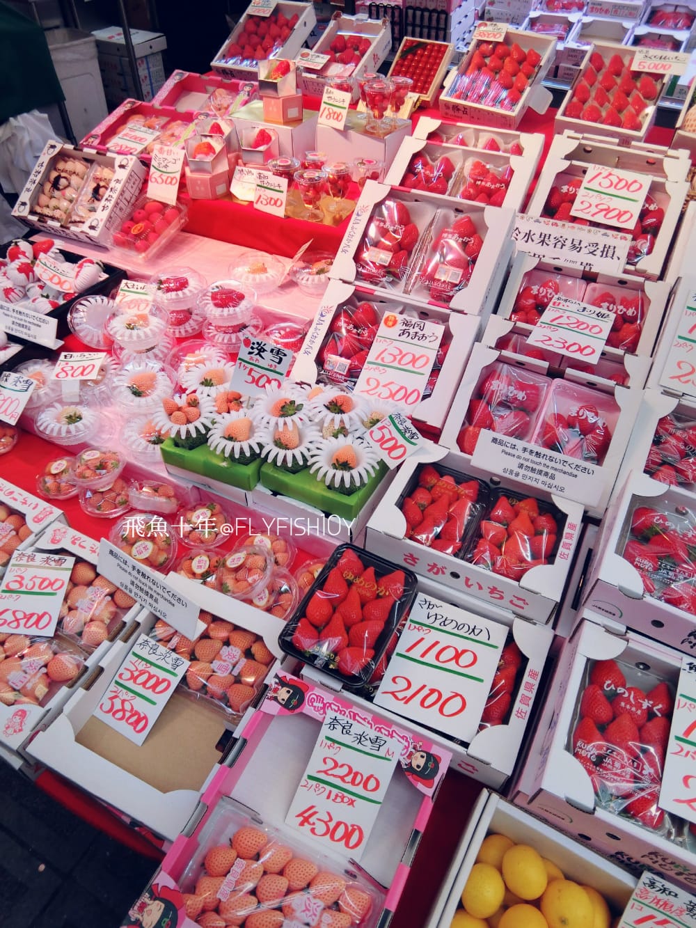 25171981783_2073a00aaa_o (1).jpg