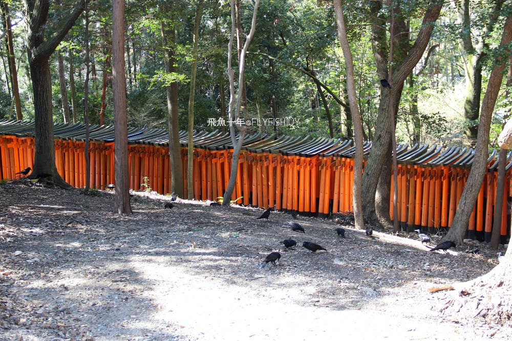 26480625715_af0386c169_o (1).jpg