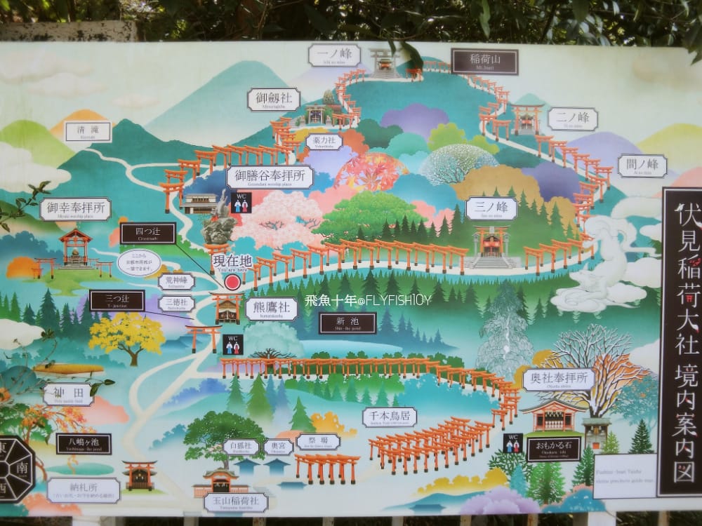 25147518903_0a8f30ae2c_o (1).jpg