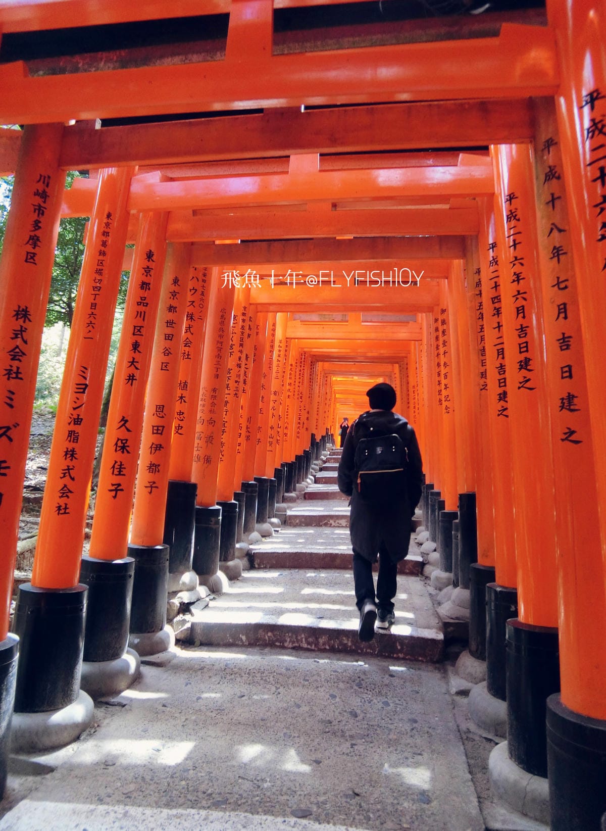 25686564641_dcf17e7bd4_o (1).jpg