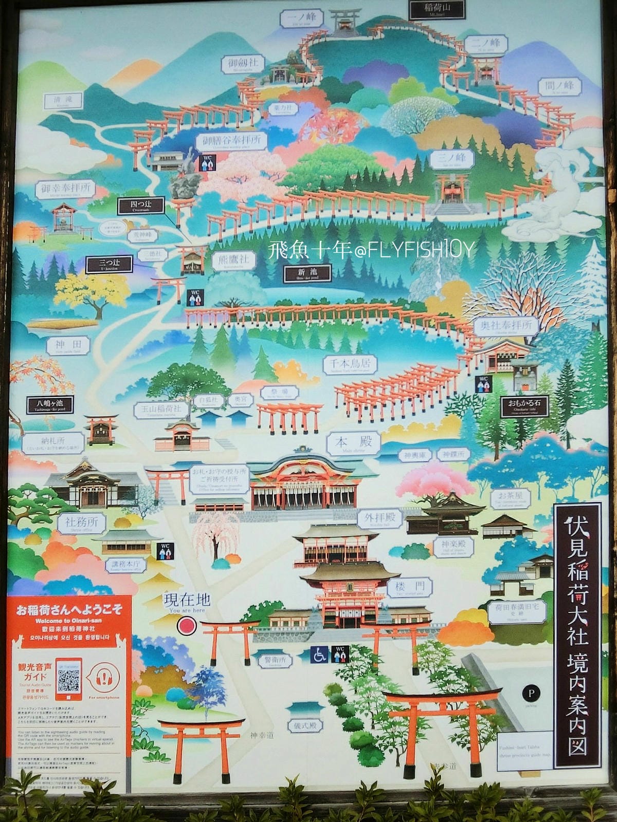 29746294951_717d3c76ee_o (1).jpg