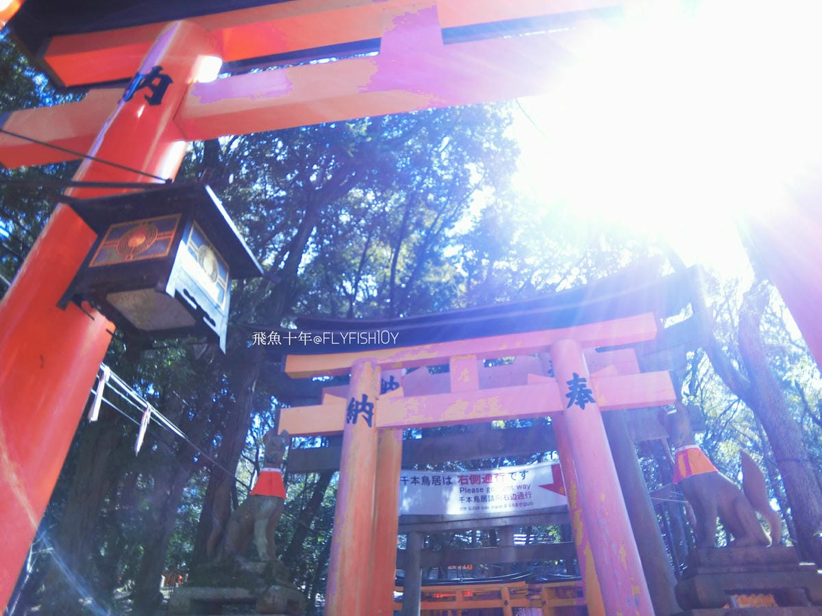 25612007532_91b7c7755c_o (1).jpg