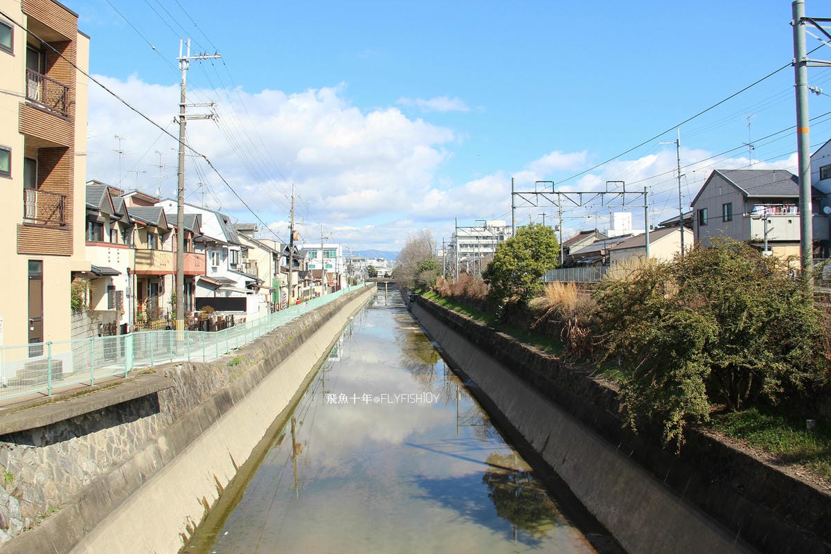 26413021481_0d108c22ab_o (1).jpg