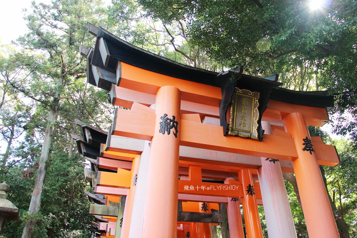 25877795273_9241d146c4_o (1).jpg