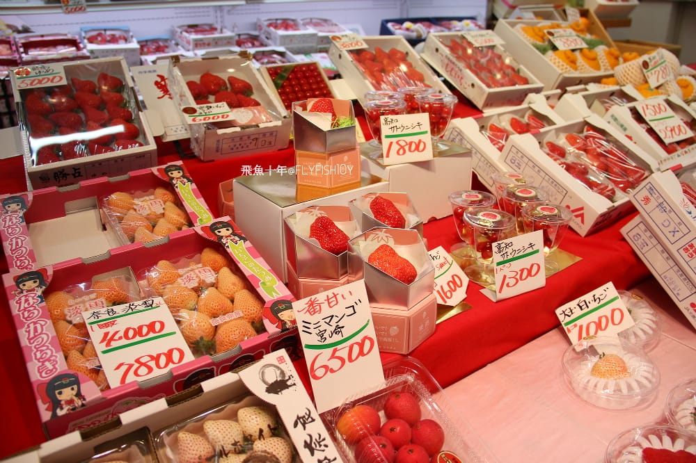 26480502615_d436cb9d5a_o (1).jpg