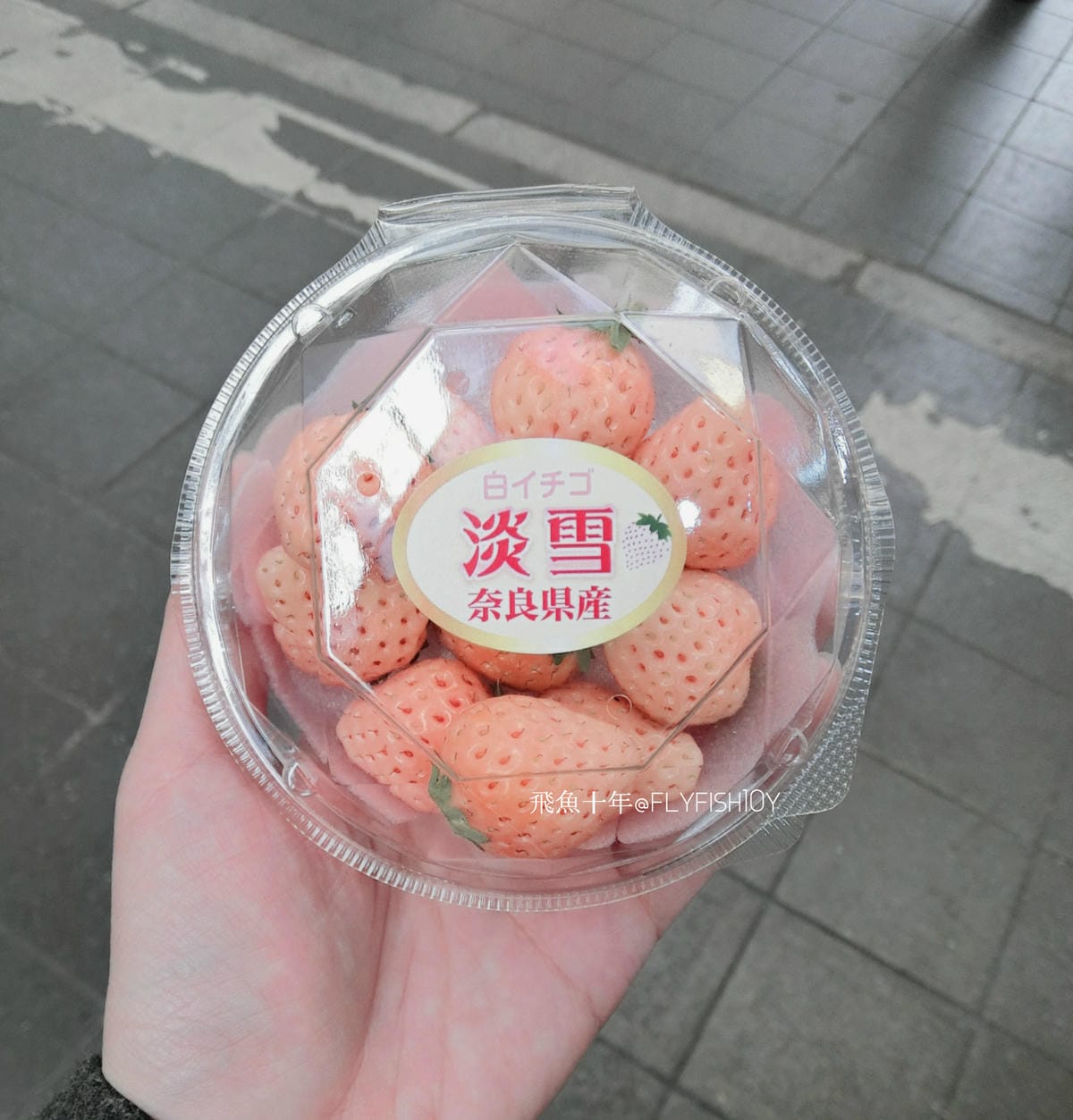 25798617425_9213779504_o (1).jpg