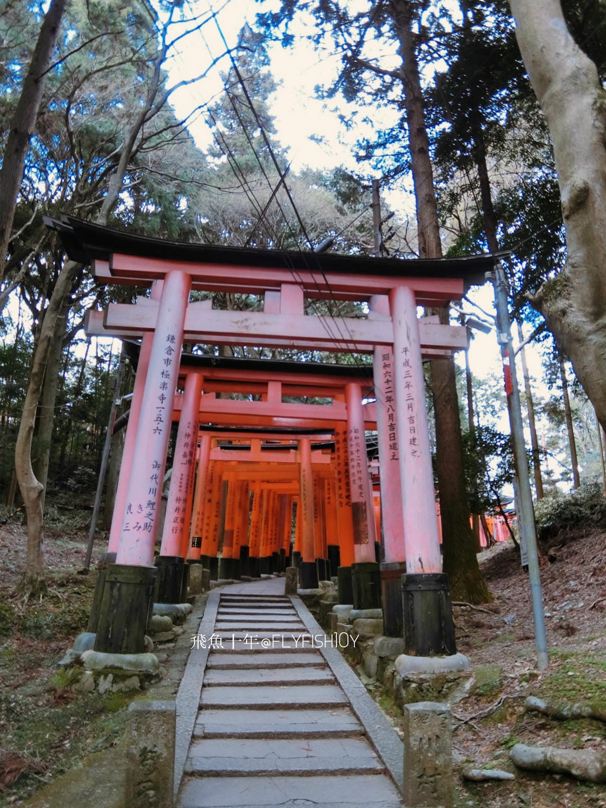 25628039142_264c1065b9_o (1).jpg