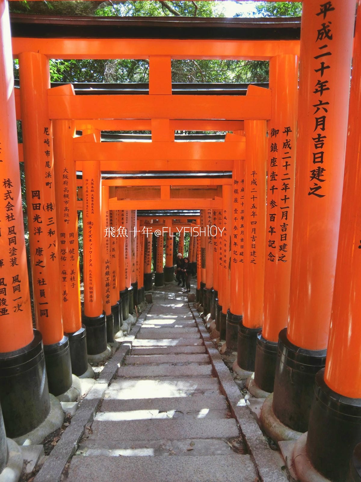 25143698874_427a6cb1b0_o (1).jpg