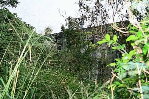 12938364_463416660516124_2025547623345273584_n