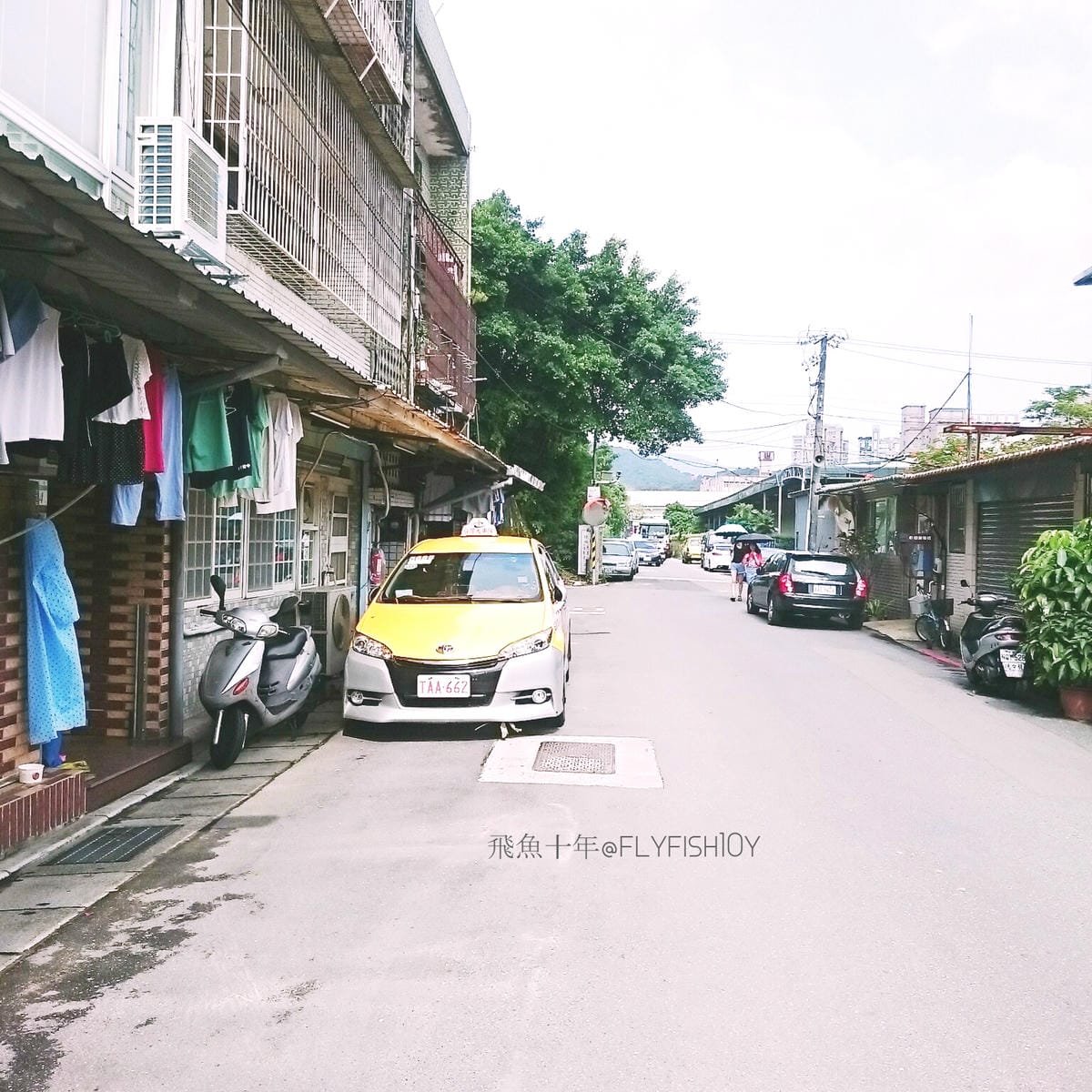 29389099151_94f244df37_o (1).jpg 29389099151_94f244df37_o (1).jpg