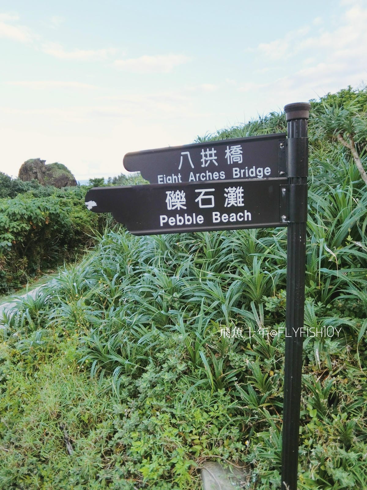 29585014742_f4b01bce06_o (1).jpg