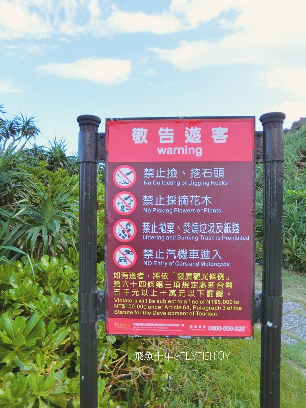 29071716203_611b81aebf_o (1).jpg