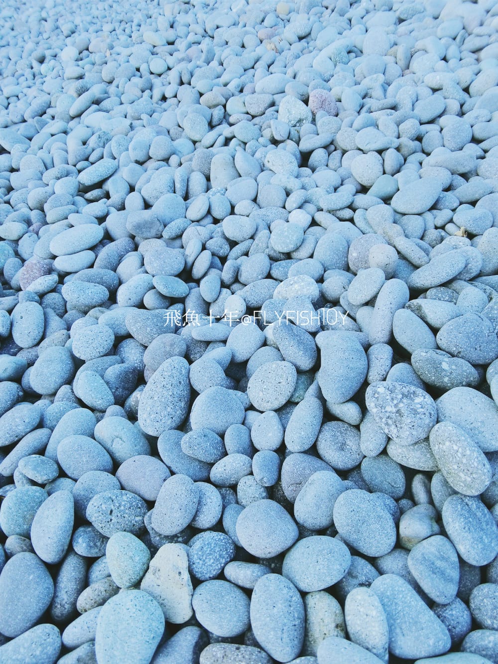 29678772725_be553e1198_o (2).jpg