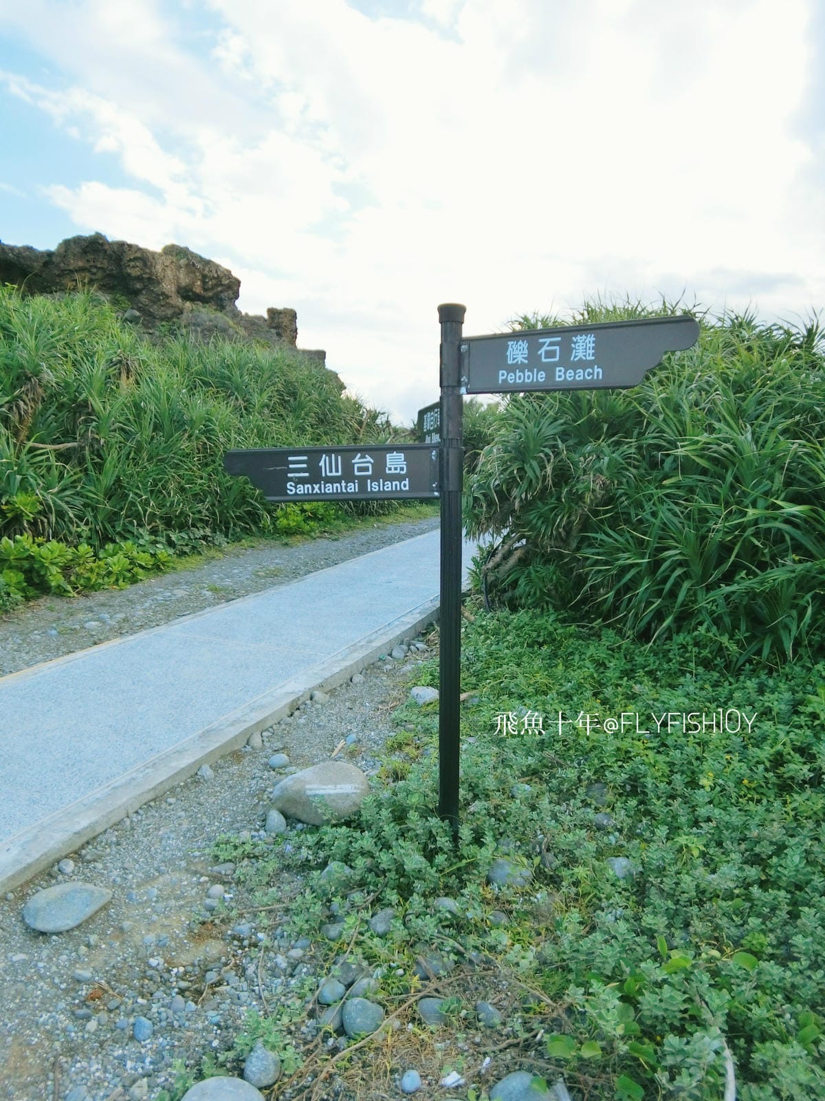 29071710713_c9680eaabd_o (1).jpg