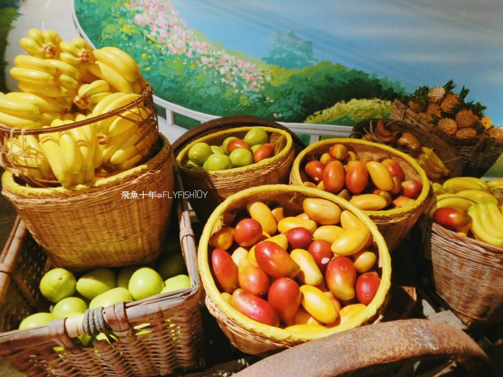 22819889528_846188fa29_o (1).jpg