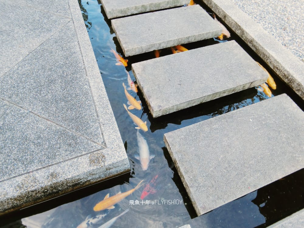 31072420496_0c029512d0_o (1).jpg