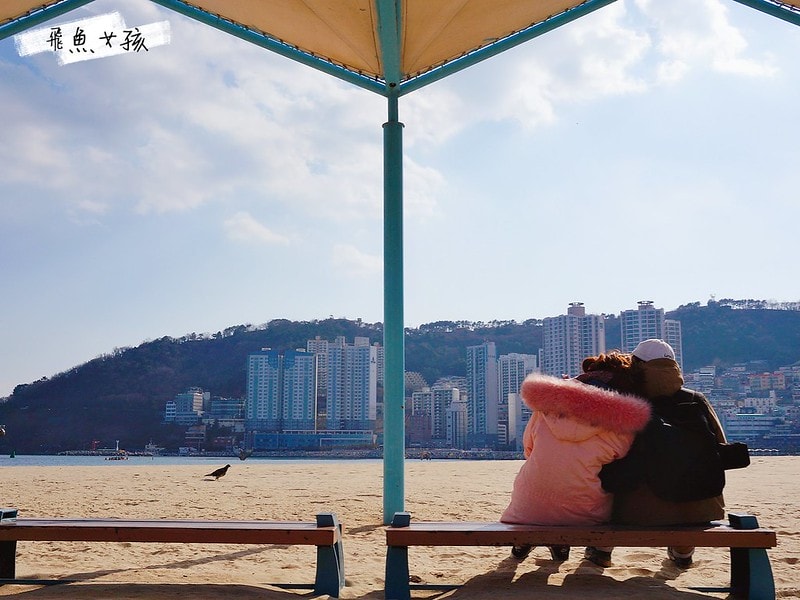 松島天空步道SKY WALK,松島雲端散步路,甘川洞文化村到松島,交通資訊,公車路線