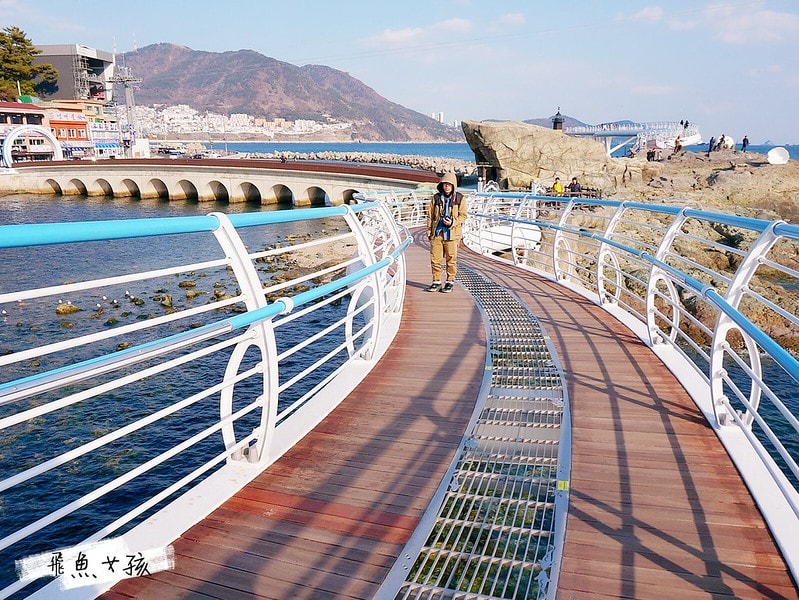 松島天空步道SKY WALK,松島雲端散步路,甘川洞文化村到松島,交通資訊,公車路線